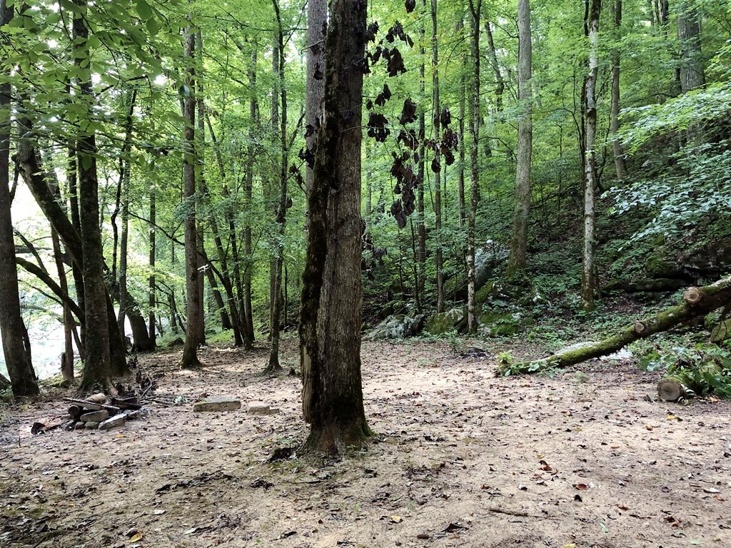 Primitive hike-in site next to the small stream